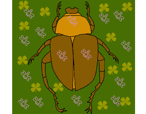 Escarabajo 1