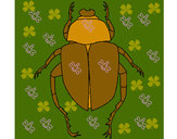 Dibujo Escarabajo 1 pintado por agus16san5