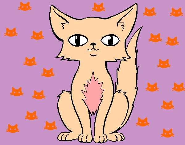 Dibujo Gato persa pintado por nnnnnn