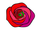 Dibujo Flor de rosa pintado por nasareth