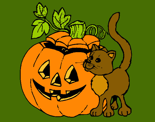 Calabaza y gato