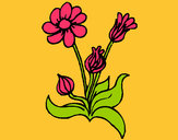 Dibujo Flores 2 pintado por amalia