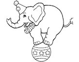 Dibujo Elefante encima de una pelota pintado por charlycar