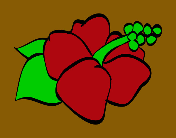 Dibujo Flor de lagunaria pintado por kittylove