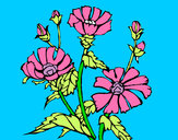 Dibujo Conjunto floral pintado por vikingui