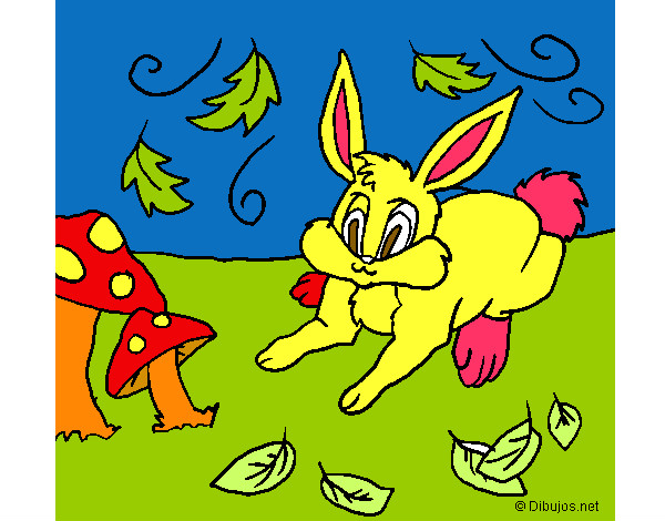 Dibujo Conejo 3 pintado por Noe78