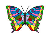 Dibujo Mariposa 16 pintado por laguapa