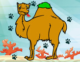 Dibujo Camello aburrido pintado por mariayc