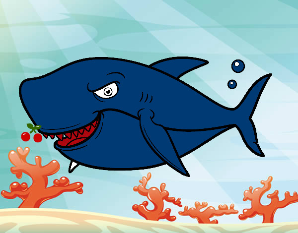 Dibujo Tiburón dentudo pintado por mendieta