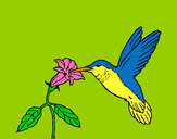 Dibujo Colibrí y una flor pintado por JC-M-R