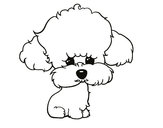 Dibujo Cachorro de poodle pintado por nikilu