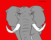 Dibujo Elefante africano pintado por ALEPRONDA