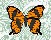 Dibujo Mariposa silvestre pintado por tucan007