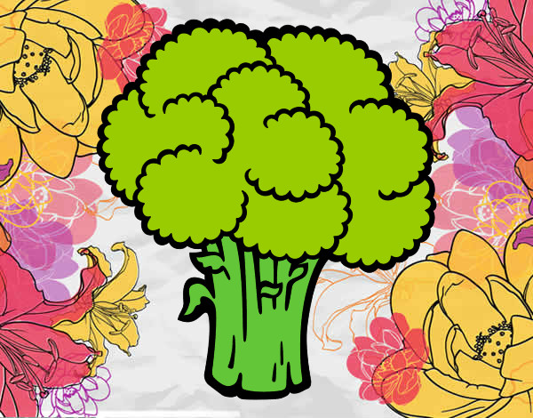 Dibujo Verdura de brócoli pintado por jhol9