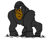 Dibujo Gorila 1 pintado por esteban08