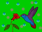 Dibujo Colibrí y una flor pintado por JuanMar3
