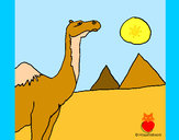 Dibujo Camello pintado por queyla