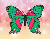 Dibujo Mariposa silvestre pintado por angie1235