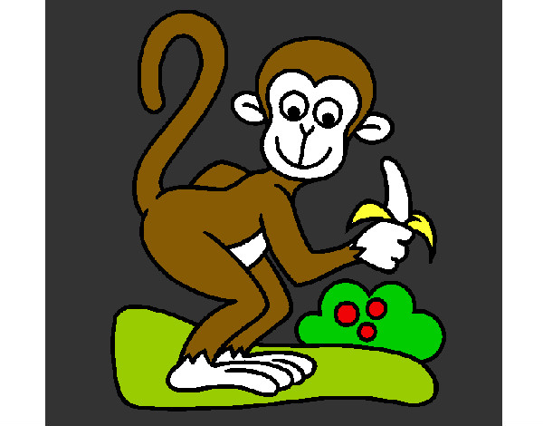 el  mono  y  su   banana  