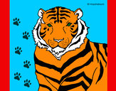 Dibujo Tigre 3 pintado por sandym
