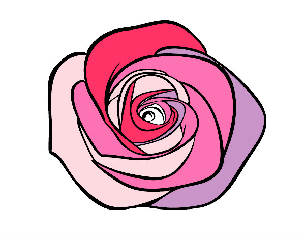 Dibujo Flor de rosa pintado por CUENTOS 