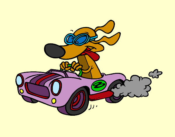 Perro de carreras