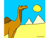 Dibujo Camello pintado por Assin