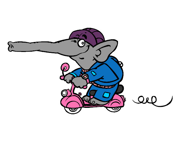 Elefante en moto