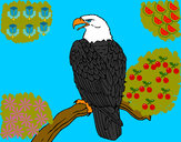 Dibujo Águila en una rama pintado por DEMIAN4