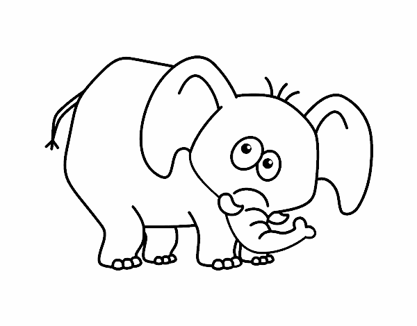 Elefante vergonzoso