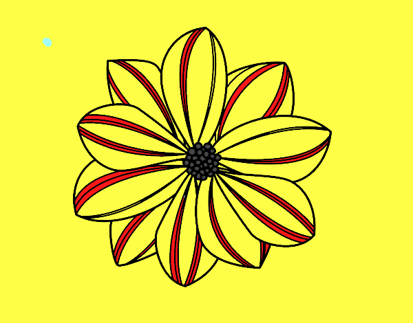 Flor de margarita