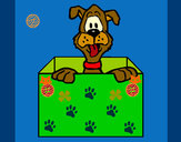 Dibujo Perro dentro de caja pintado por queyla