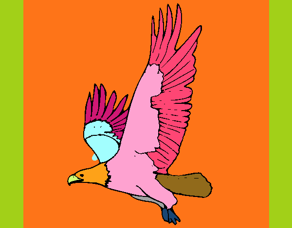 Águila volando