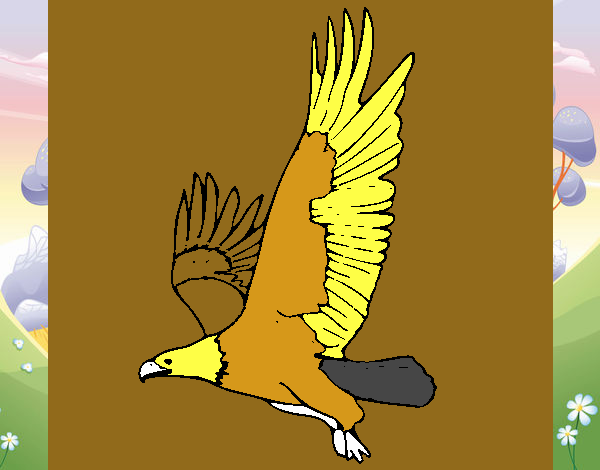 Águila volando