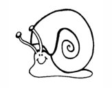 Caracol 1