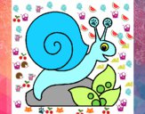 Caracol