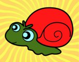 Caracol bebé