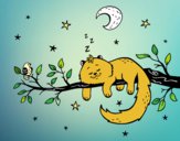 El gato y la luna