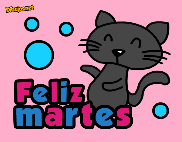 el gato del martes