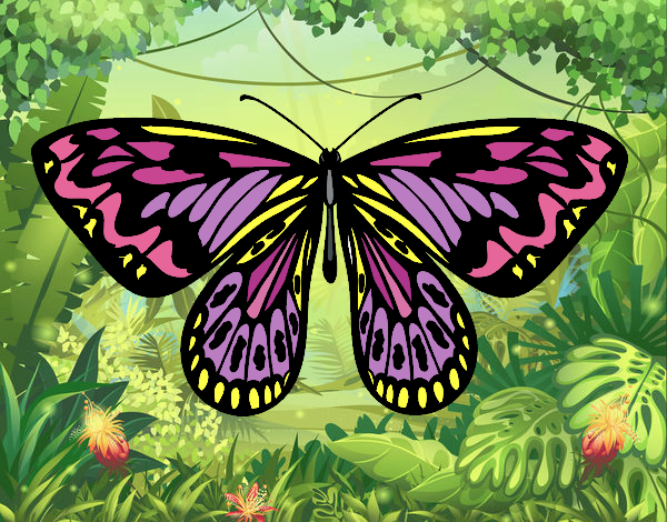 Dibujo Mariposa alexandra pintado por tilditus