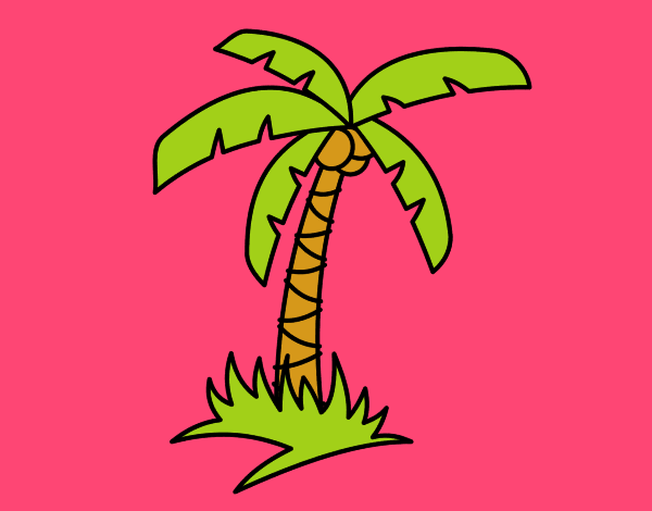 Palmera tropical