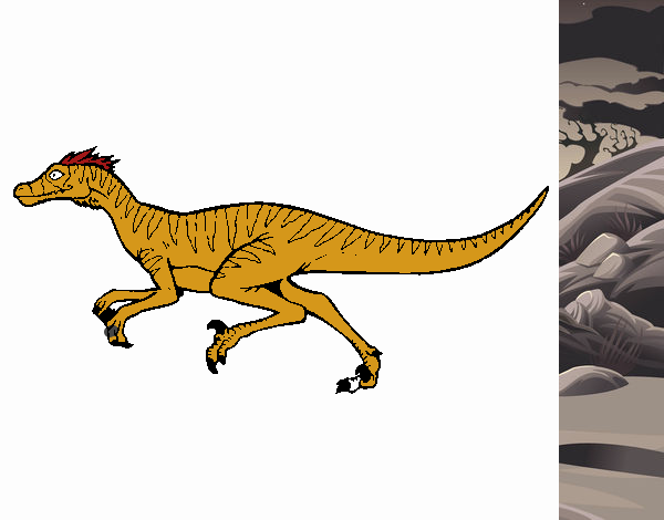 Velociraptor