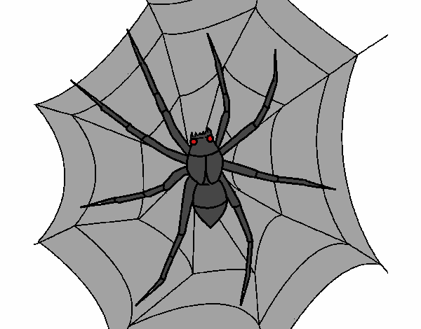 Araña