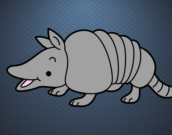 Armadillo joven