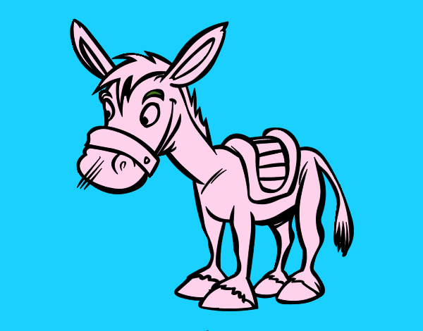 Burro de granja