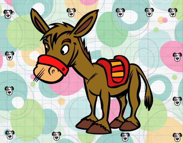 Burro de granja