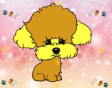 Cachorro de poodle