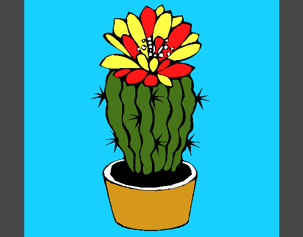 Cactus con flor