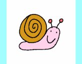 Caracol 4