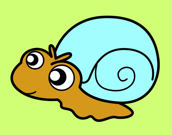 Caracol bebé